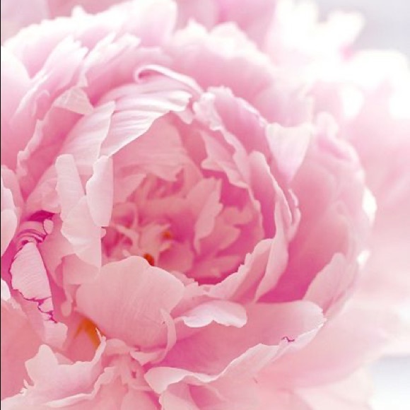 Meet your Posher, Kathy - Picture 1 of 1